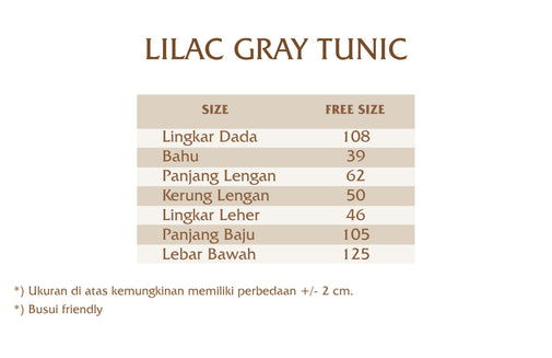 Load image into Gallery viewer, Lilac Gray Tunic